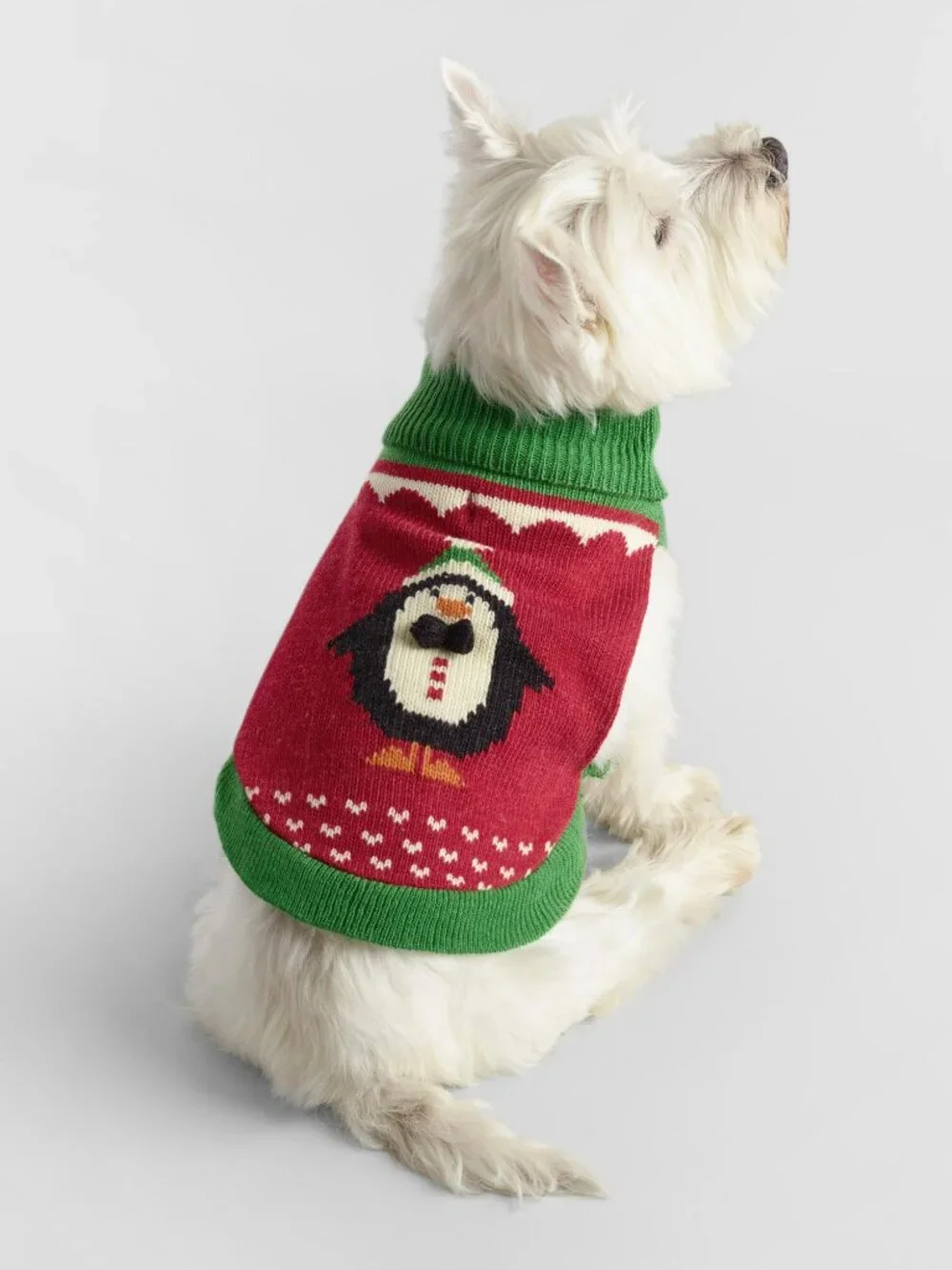 lot 4 NEW size SMALL dog sweaters WORLD MARKET knit pet fall winter penguin lion